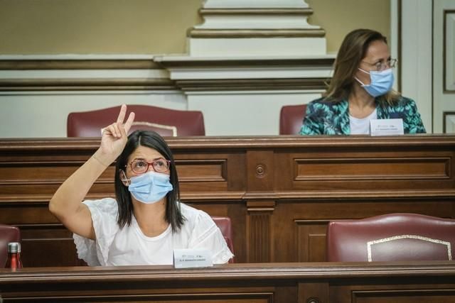 Segunda jornada del pleno en el Parlamento de Canarias