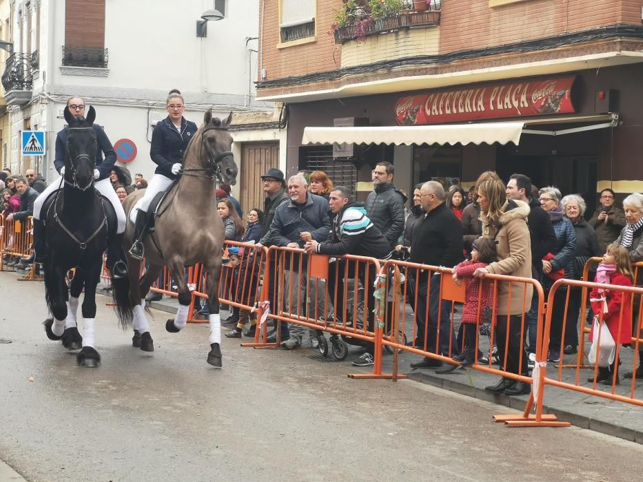 Bendición de animales en Xirivella.