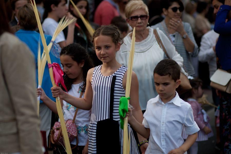 Semana Santa en Zamora: La Borriquita