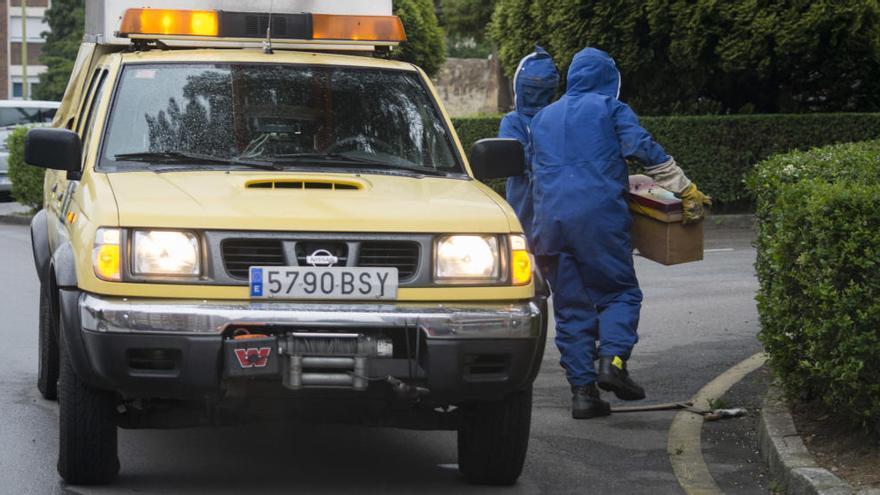 Los Bomberos retiran el enjambre en La Espina.