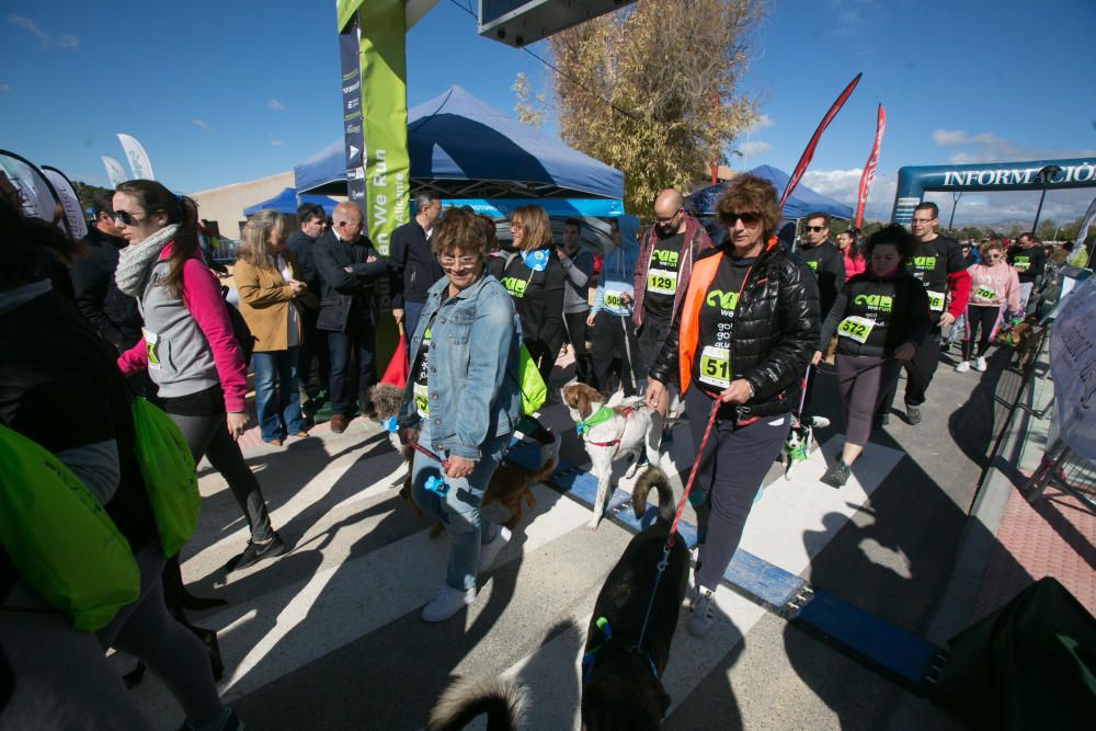 Can We Run: Gran carrera de perros para la concienciación animal