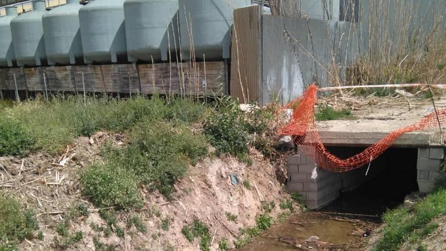 Imagen de la zona por la que cruza el azarbe, junto a la empresa.