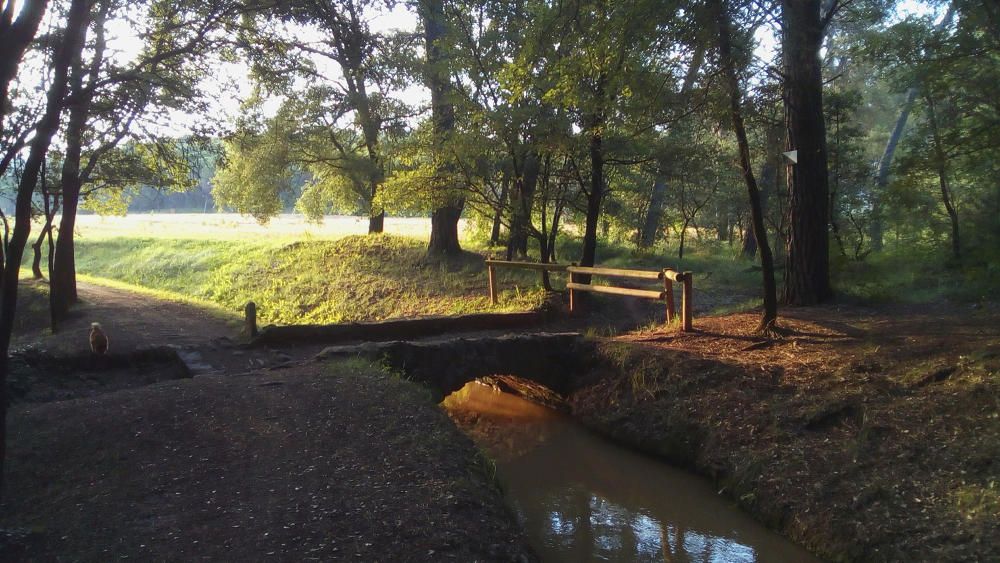 La Sèquia. Caminant per la Sèquia, al vespre, a l'alçada dels plans de la Sala, es pot fer un passeig relaxant per la vista i els sentits.