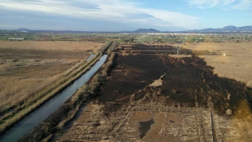 Vista áerea de la zona afectada por el incendio, que arrasó 36 hectáreas, en s´Albufera.