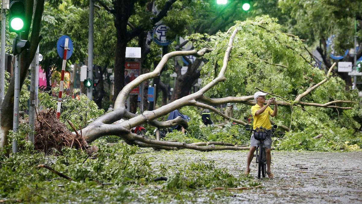 Un ciclista graba con un teléfono los árboles caídos tras el paso del tifón Yagi en Hanoi