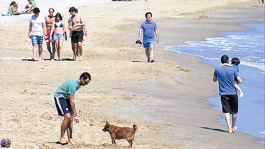 Alcalà estrena una playa para perros en el Serradal