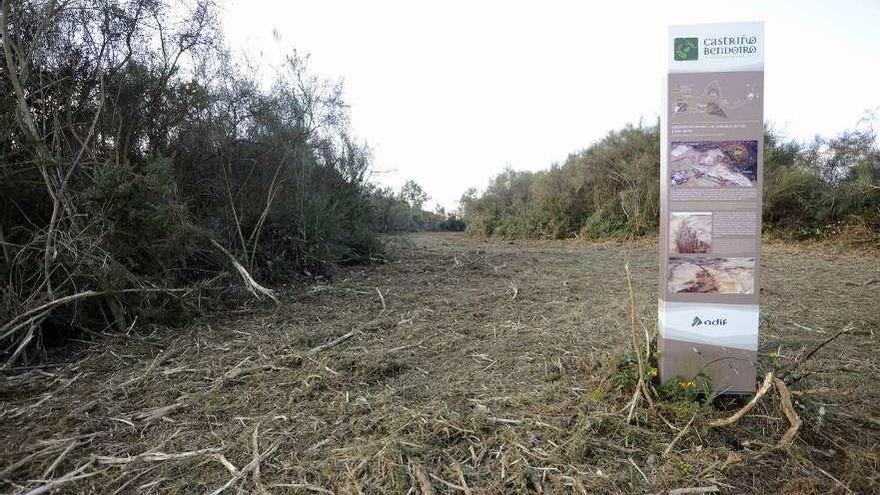 El acceso al yacimiento puesto en valor en Bendoiro fue desbrozado en días recientes. // Bernabé/Javier Lalín