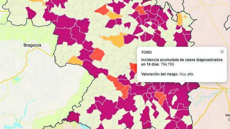 Mapa que refleja la incidencia acumulada de COVID en Toro y en la provincia de Zamora. | J. C. L.