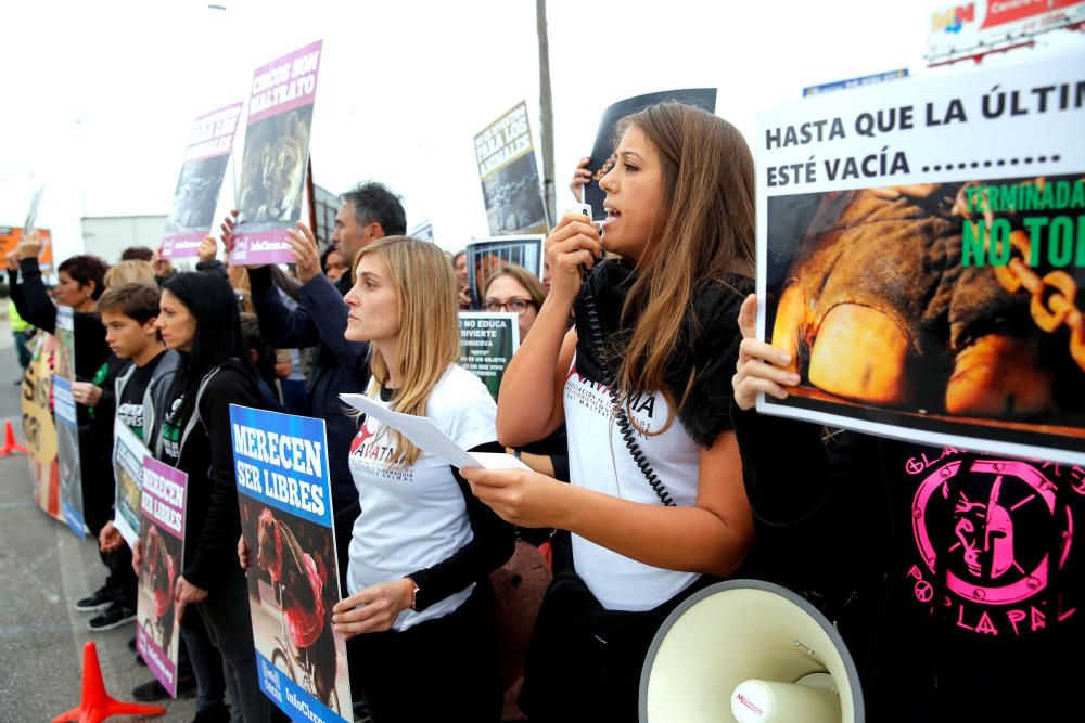 Protesta contra un circo con animales en Alfafar