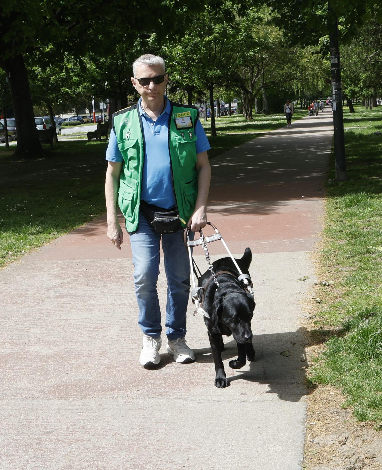 El oficio del perro Topi: guiar a su dueño invidente