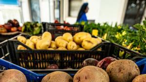El sucre i les patates van disparar la inflació amb l’oli d’oliva