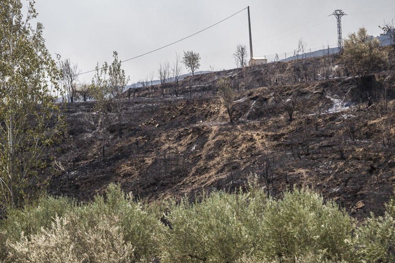 El paraje de El Surar, arrasado por el incendio