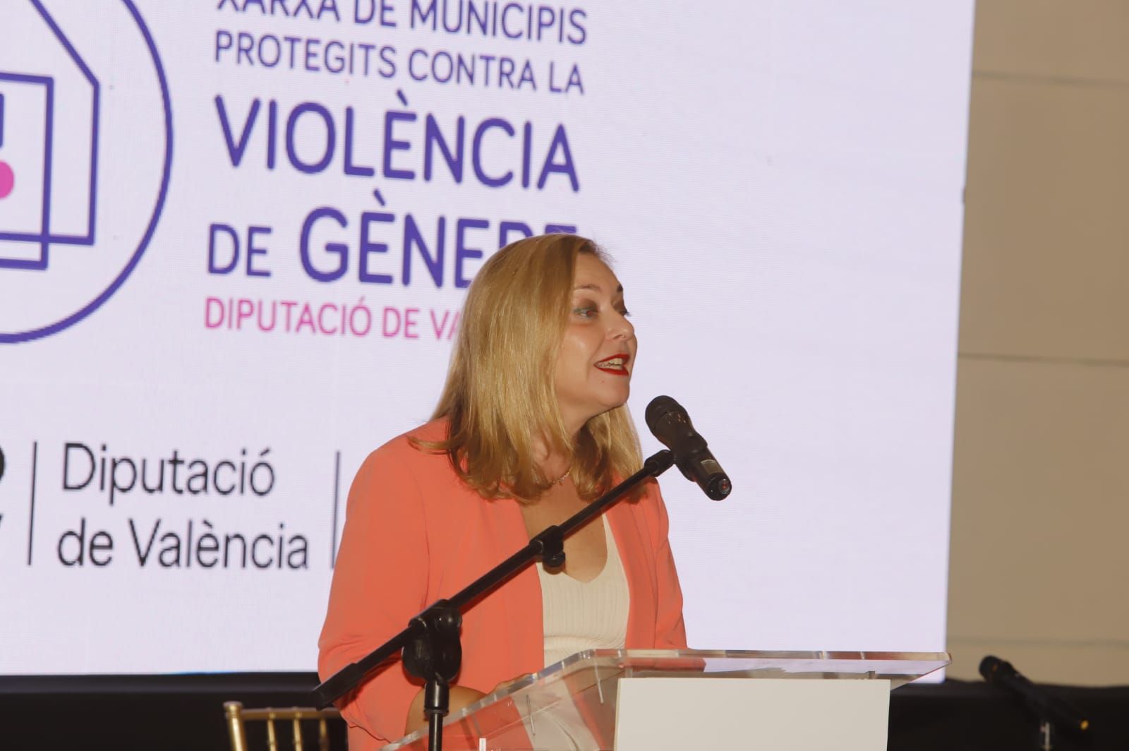 X asamblea de la Red de Municipios protegidos contra la Violencia de Género de la diputación
