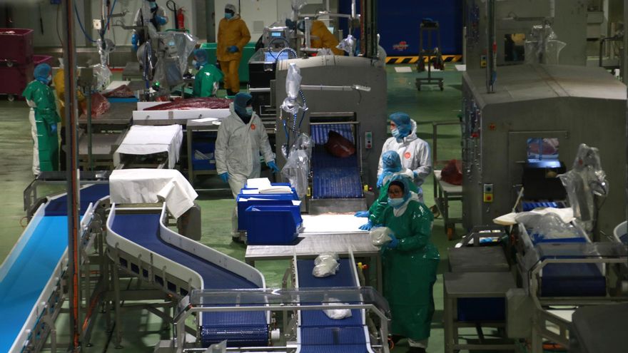 Els afiliats a la Seguretat Social augmenten un 1,1% interanual al juny i creixen en 36 comarques