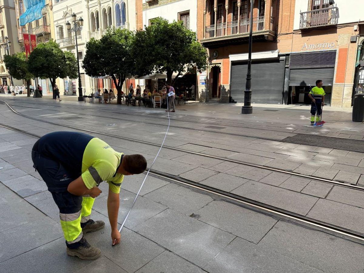 Primeros trabajos para la colocación de los toldos de la Avenida de la Constitución