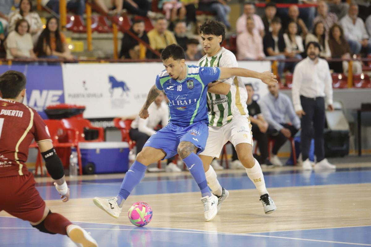El Córdoba Futsal - Viña Albali Valdepeñas, en imágenes El Córdoba Futsal - Viña Albali Valdepeñas, en imágenes