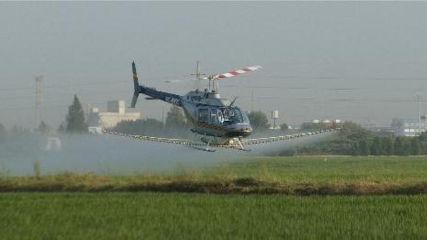 Un helicóptero realiza una fumigación aérea controlada en uno de los campos de arroz próximo a l&#039;Albufera.