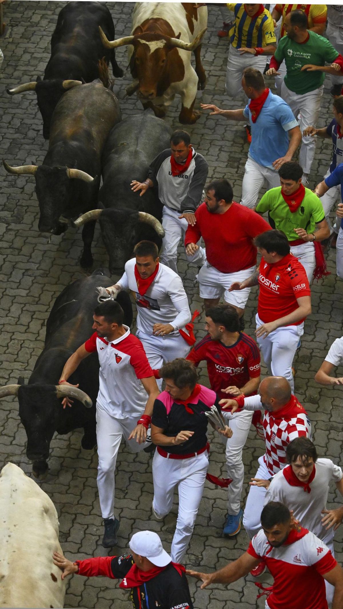 Octavo y último encierro de San Fermín con toros de la ganadería Miura