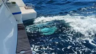 Remolcado un velero que sufrió daños a causa de una interacción con orcas en Fisterra