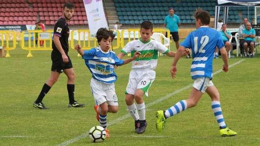 El Pabellón derrotó al Celanova en la pelea por el tercer puesto. /I.O.