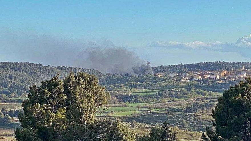 La columna de fum que generava l&#039;incendi.