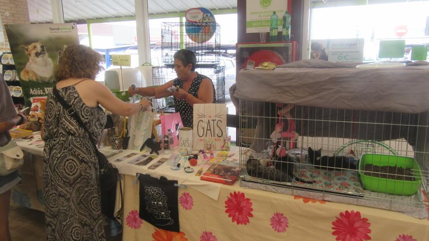 La asociación animalista Gats de la Canyada celebra una jornada solidaria en Burjassot