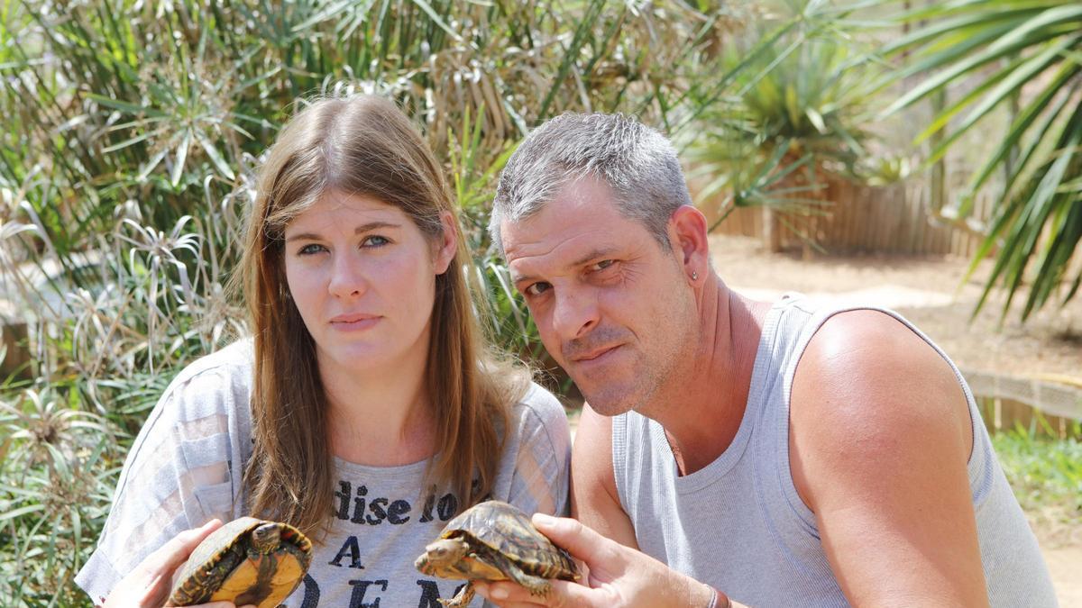 illegal-schildkr-ten-auf-mallorca-gez-chtet-prozess-gegen-deutsche-startet-nach-jahren