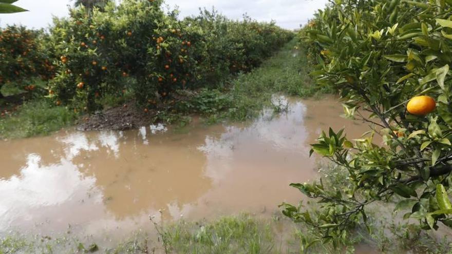 El Consell aprueba medidas para paliar los daños producidos por las fuertes lluvias