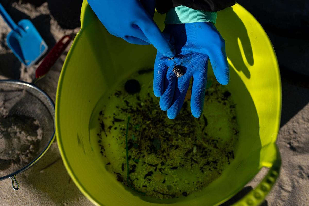 Contaminación marina por el vertido de pellets en la costa gallega