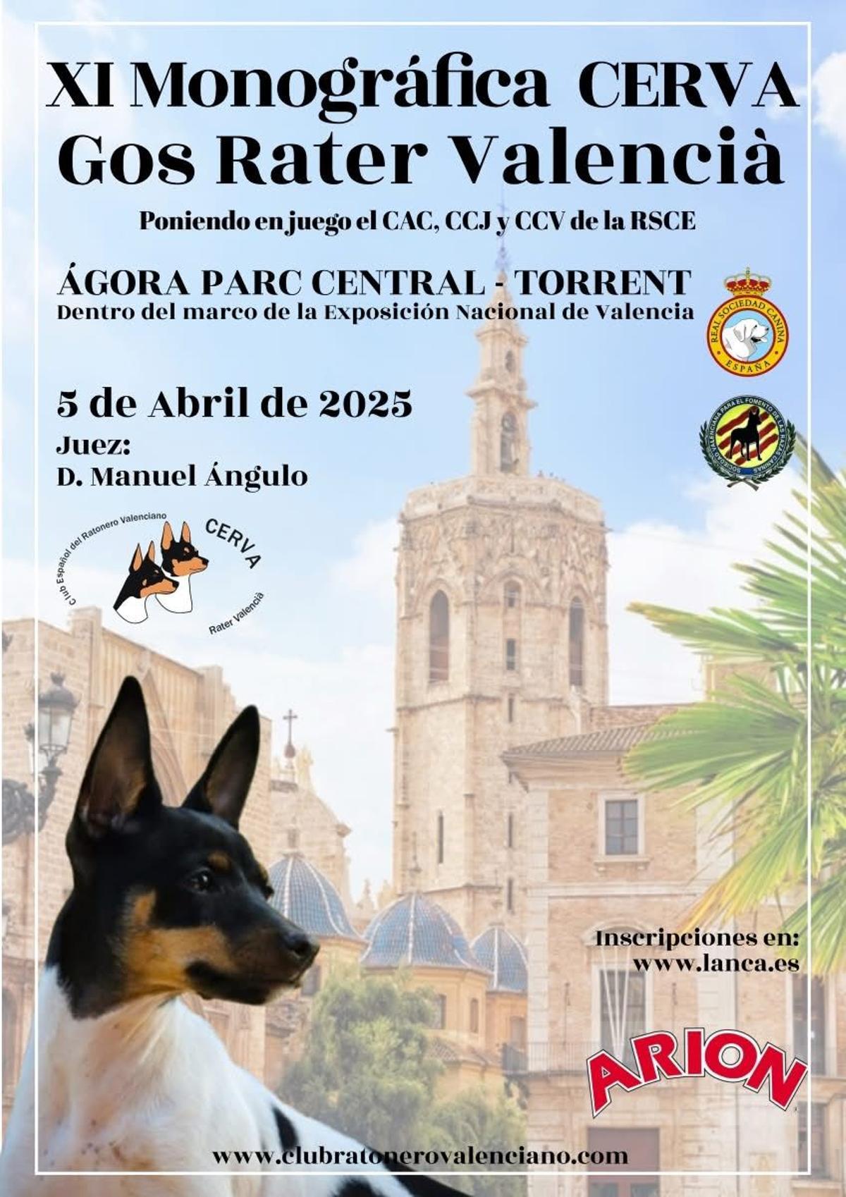 Cartel de la XI Monográfica Cerva Gos Rater Valencià.