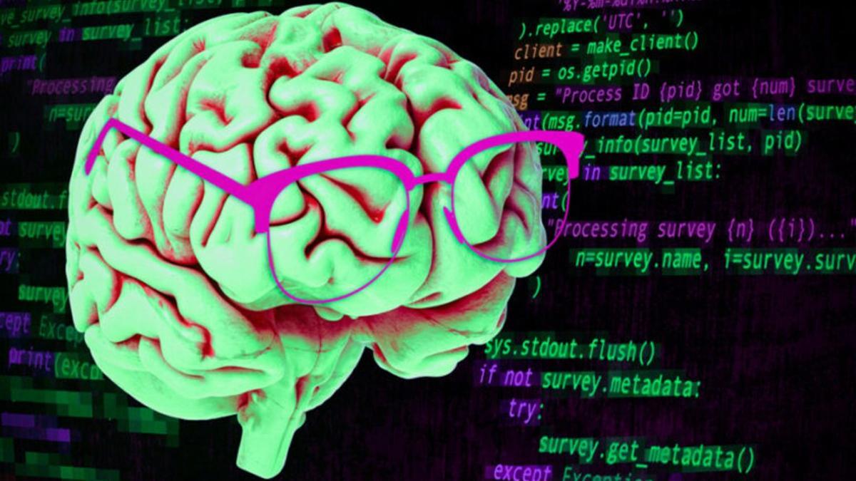 El cerebro usa neuronas complejas para entender la informática