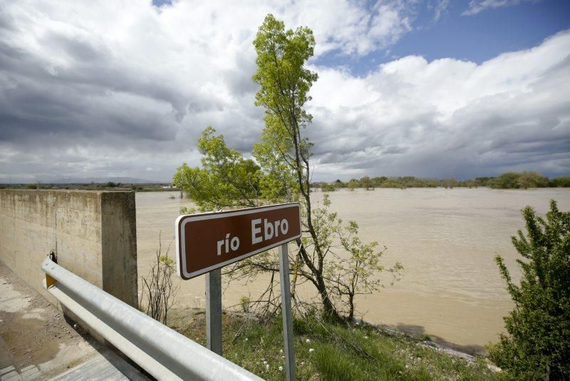 Movilización contra la crecida del Ebro en Luceni, Boquiñeni y Novillas