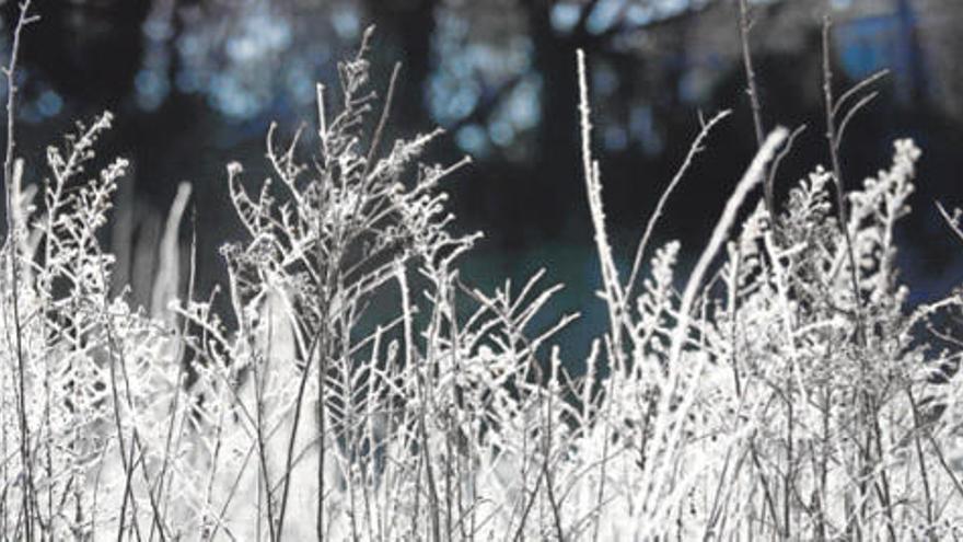 Les nevades deixen pas  a temperatures gèlides per als dies de Carnaval