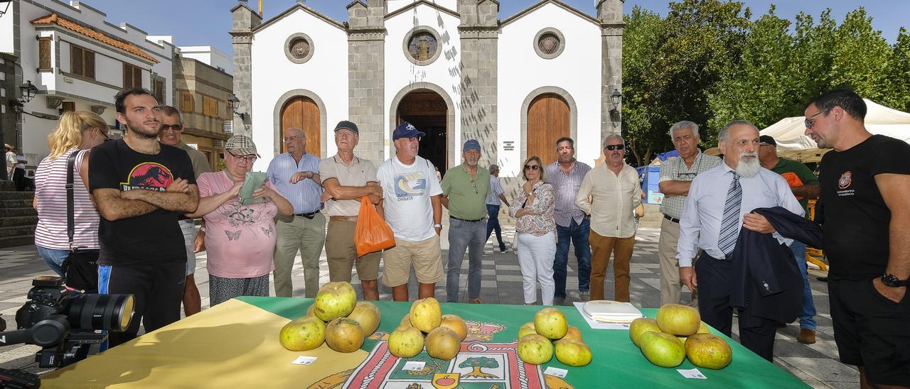 Fiesta de la Manzana en Valleseco