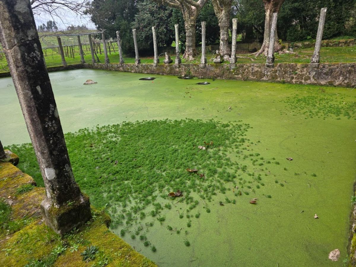 Pazo Rubiáns, en Vilagarcía, sede de la bodega Pazo de Rubianes, desde octubre propiedad de Bodegas Arzuaga.