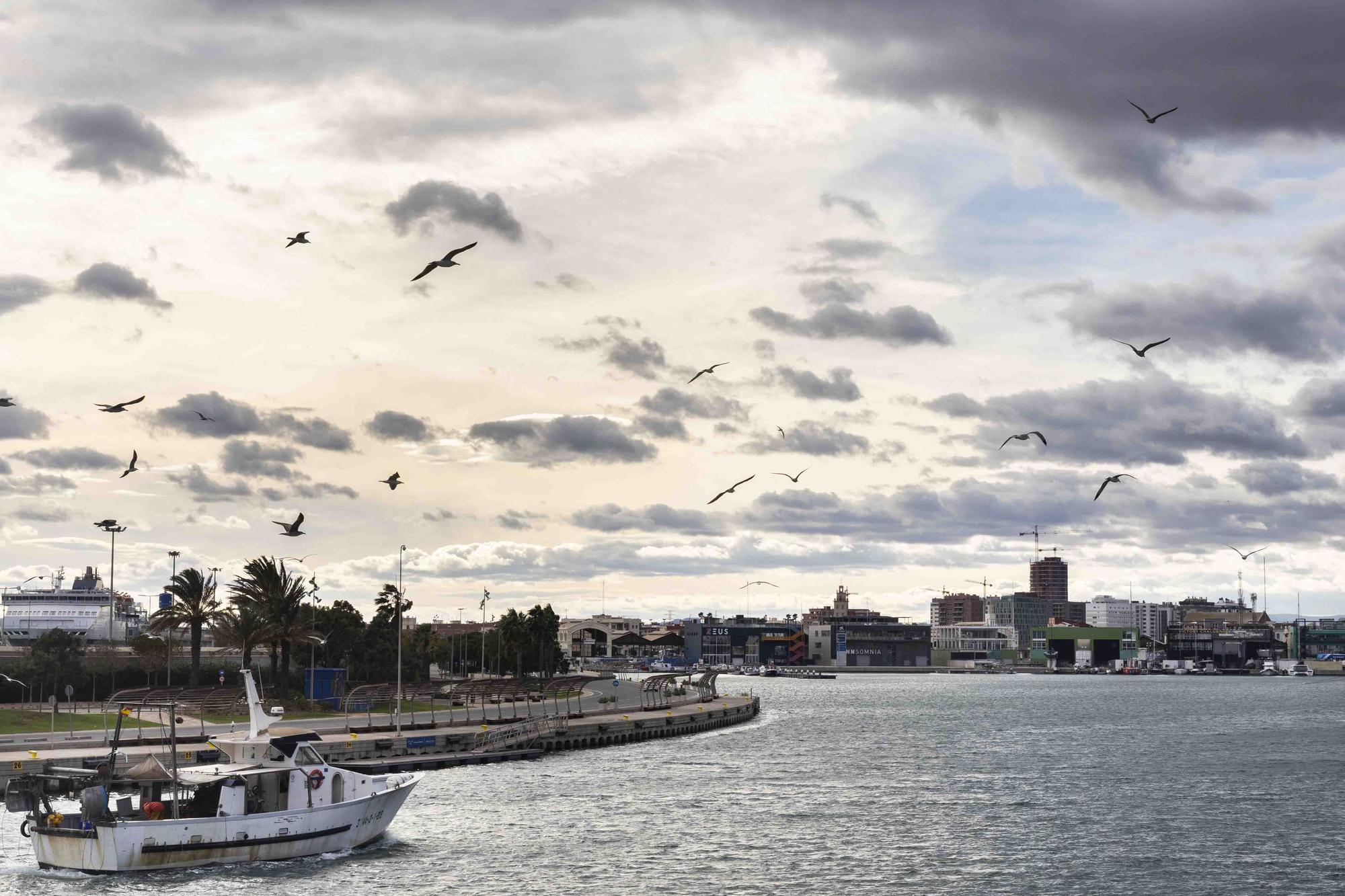 Alerta por rachas fuertes de viento de 80 km/h en València