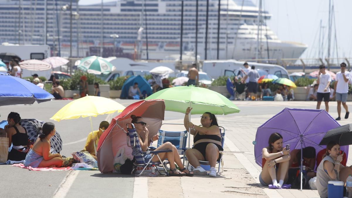 Asistentes al concierto de Rosalía de este sábado en València capean la ola de calor protegidos del sol con sombrillas mientras esperan la apertura de puertas.
