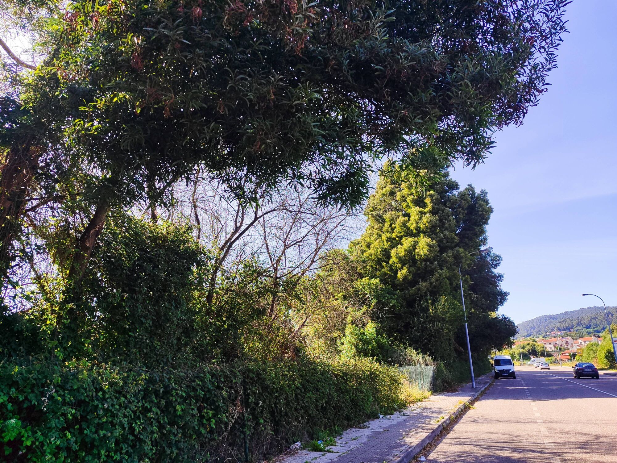 Terenos de A Rúa, donde la Xunta pretende construir 300 viviendas