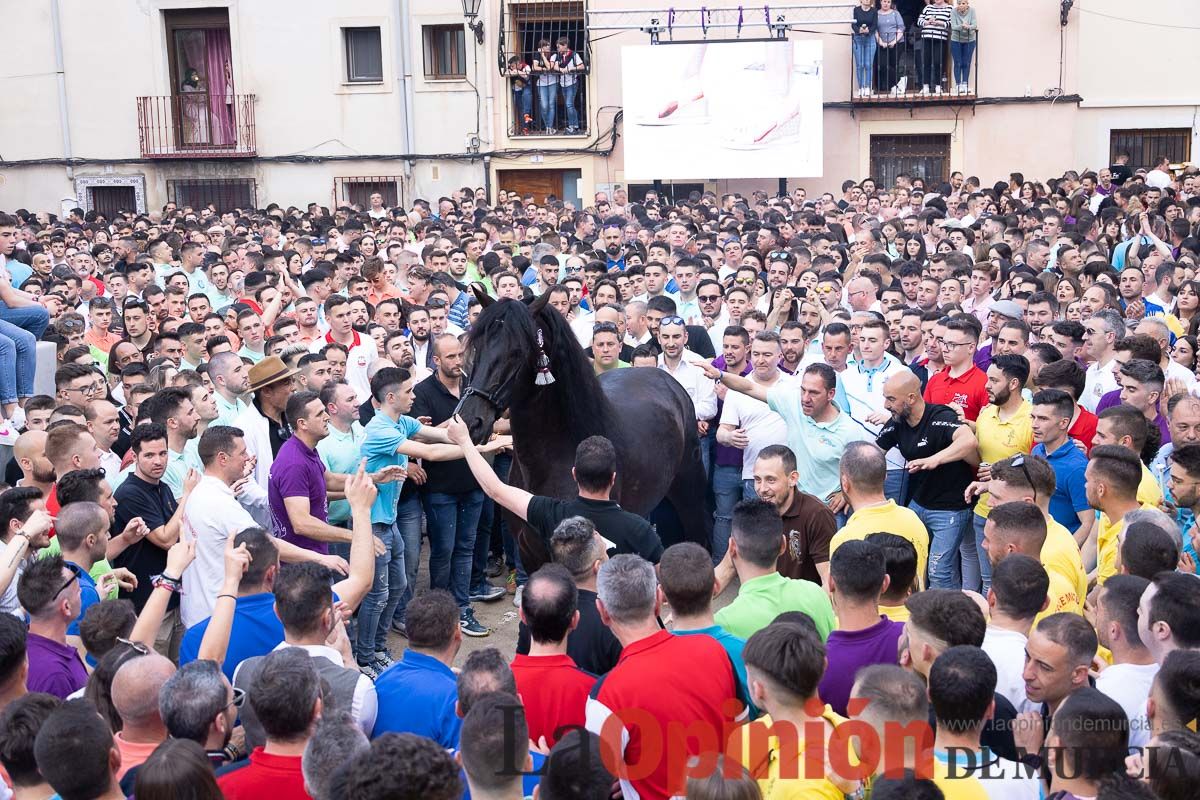 Así ha sido la entrega de premios del concurso morfológico de los Caballos del Vino de Caravaca