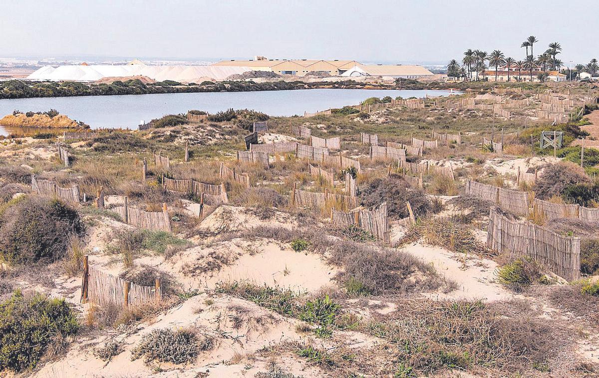 Captadores de arena de cañizo, instalados entre La Llana y las salinas.