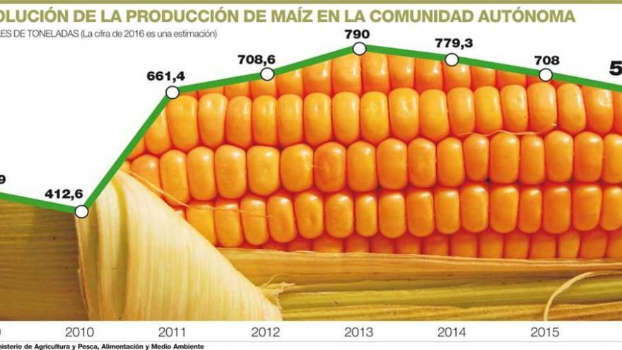Pérdida de producción y unos bajos precios marcan la cosecha de maíz
