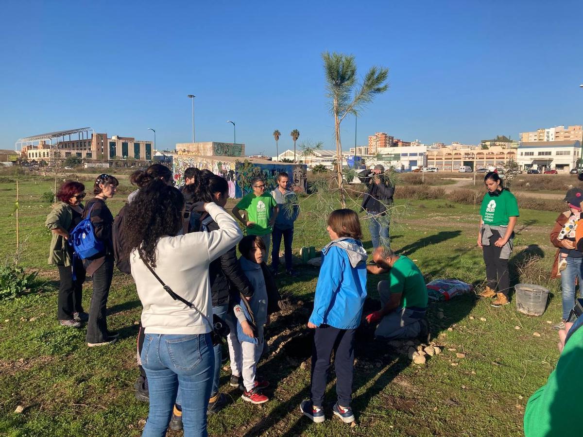 Plantación de árboles de la Plataforma Bosque Urbano en Málaga este miércoles, 28 de diciembre de 2022.