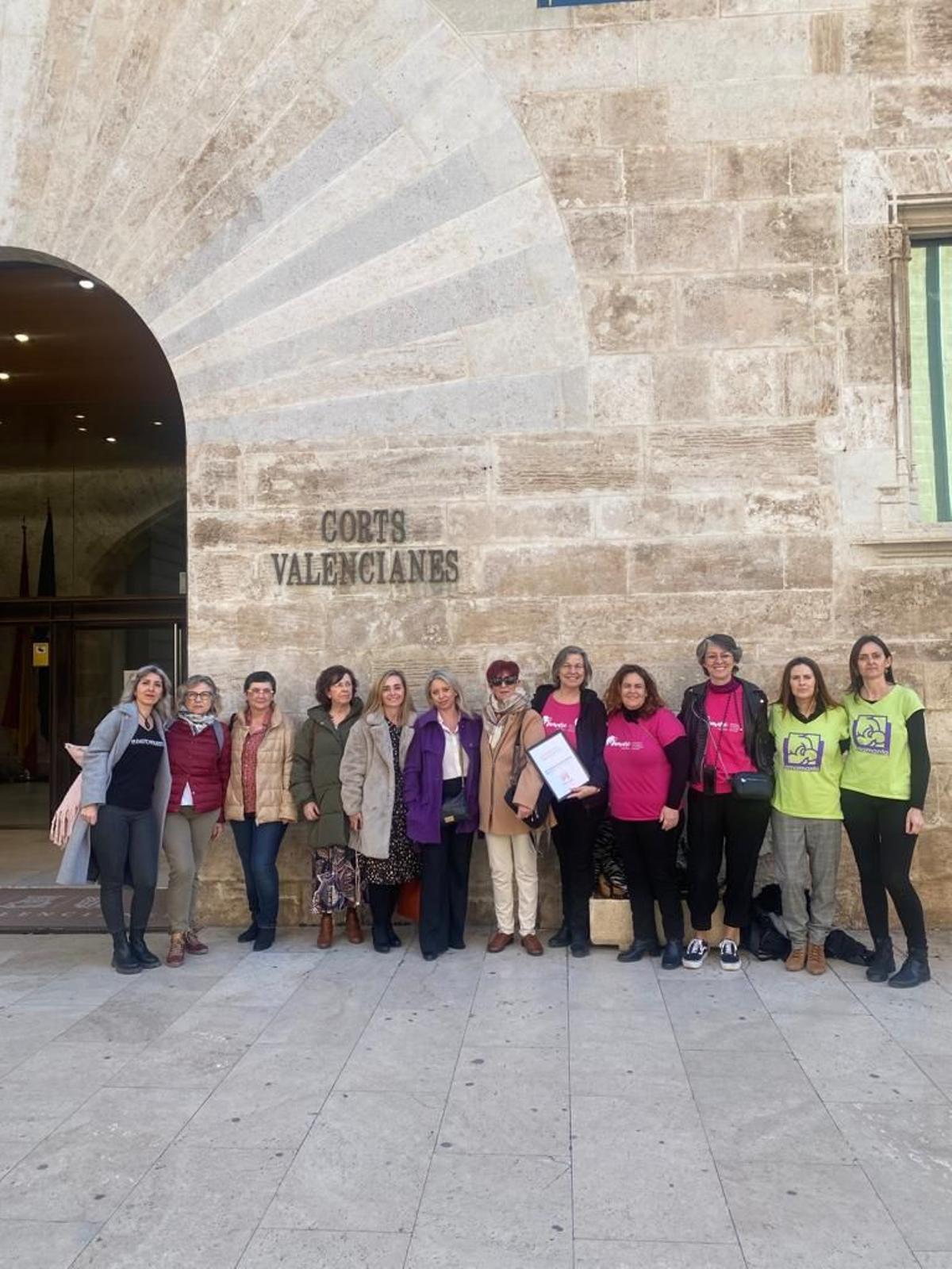 Representantes de la asociación Mamare de Castellón asistieron al pleno de les Corts.