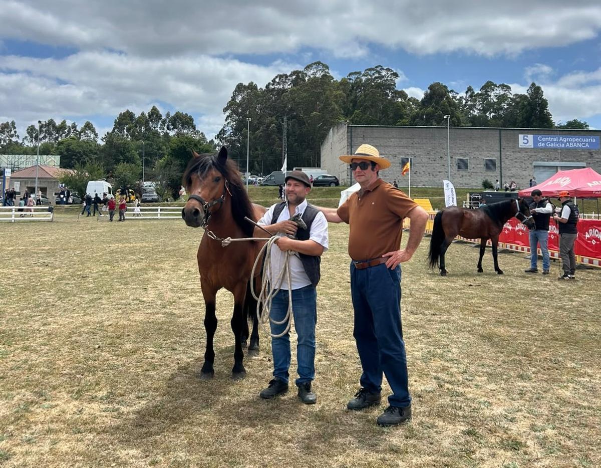 El ganador en la categoría de sementales del concurso de Cabalo Pura Raza Galega.