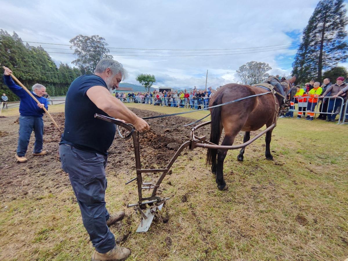 La feria de San Isidro, en imágenes