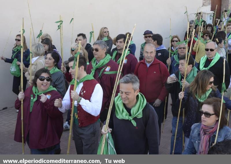 GALERÍA DE FOTOS - Romería Magdalena 2014 (5)