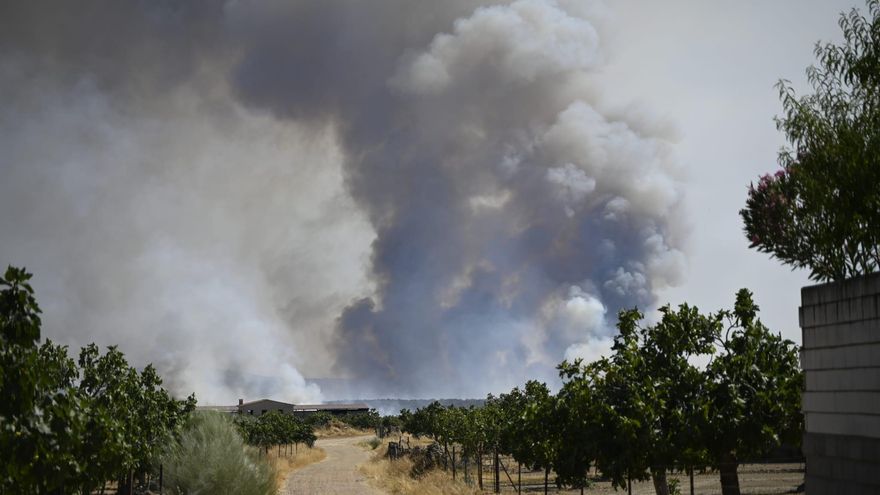 Incendio forestal entre Arroyomolinos y Alcuéscar