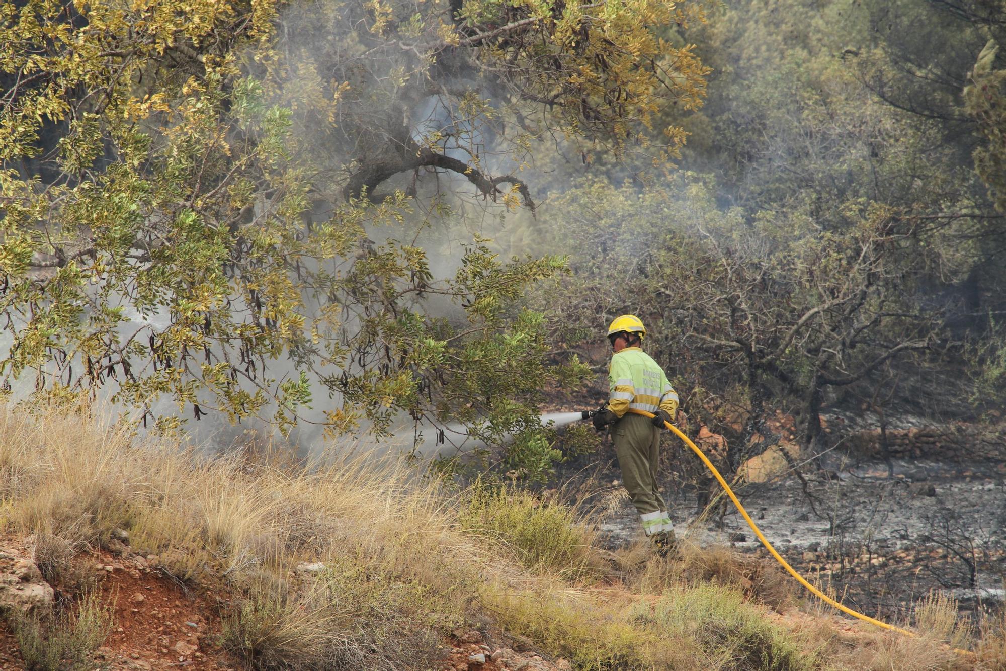 Incendio en el barranc de l'Horteta de la Vall