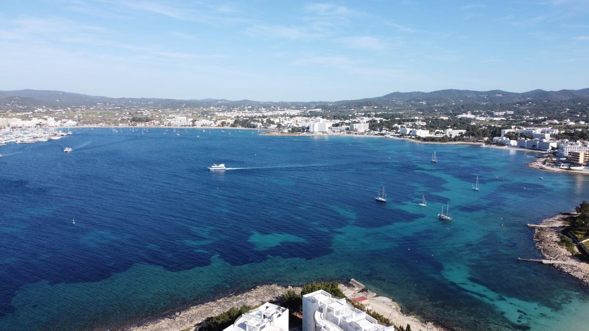 La iniciativa Salvem sa Badia lleva dos años trabajando por la mejora ambiental de la bahía de Sant Antoni de Portmany.