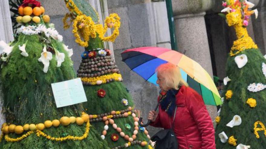 Porriño celebra la Festa dos Maios con 22 elementos vegetales en sus calles y música
